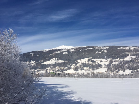 Blick auf das Speiereck von der Mur