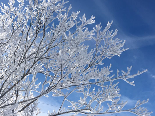 Winterlandschaft an der Mur
