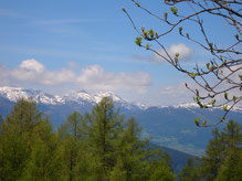 Lungau