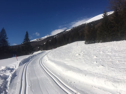 Langlaufen im Lungau